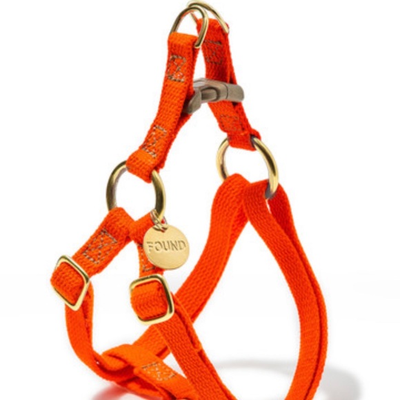 Found Orange size M Dog or Cat Harness - Picture 1 of 1